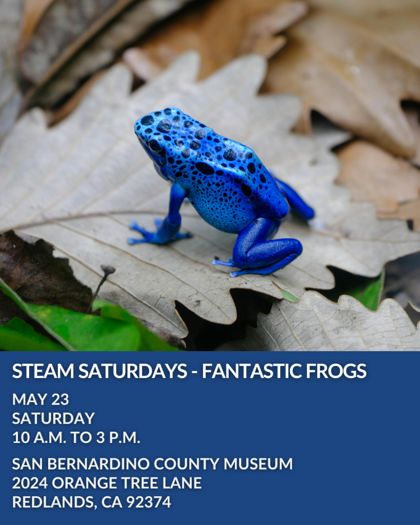 Shoutout May 23 event fantastic frogs