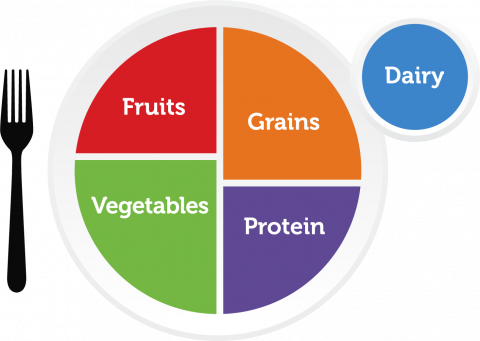 A meal chart of food type